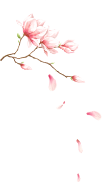 Ayurvedic Spa Treatments Coimbatore